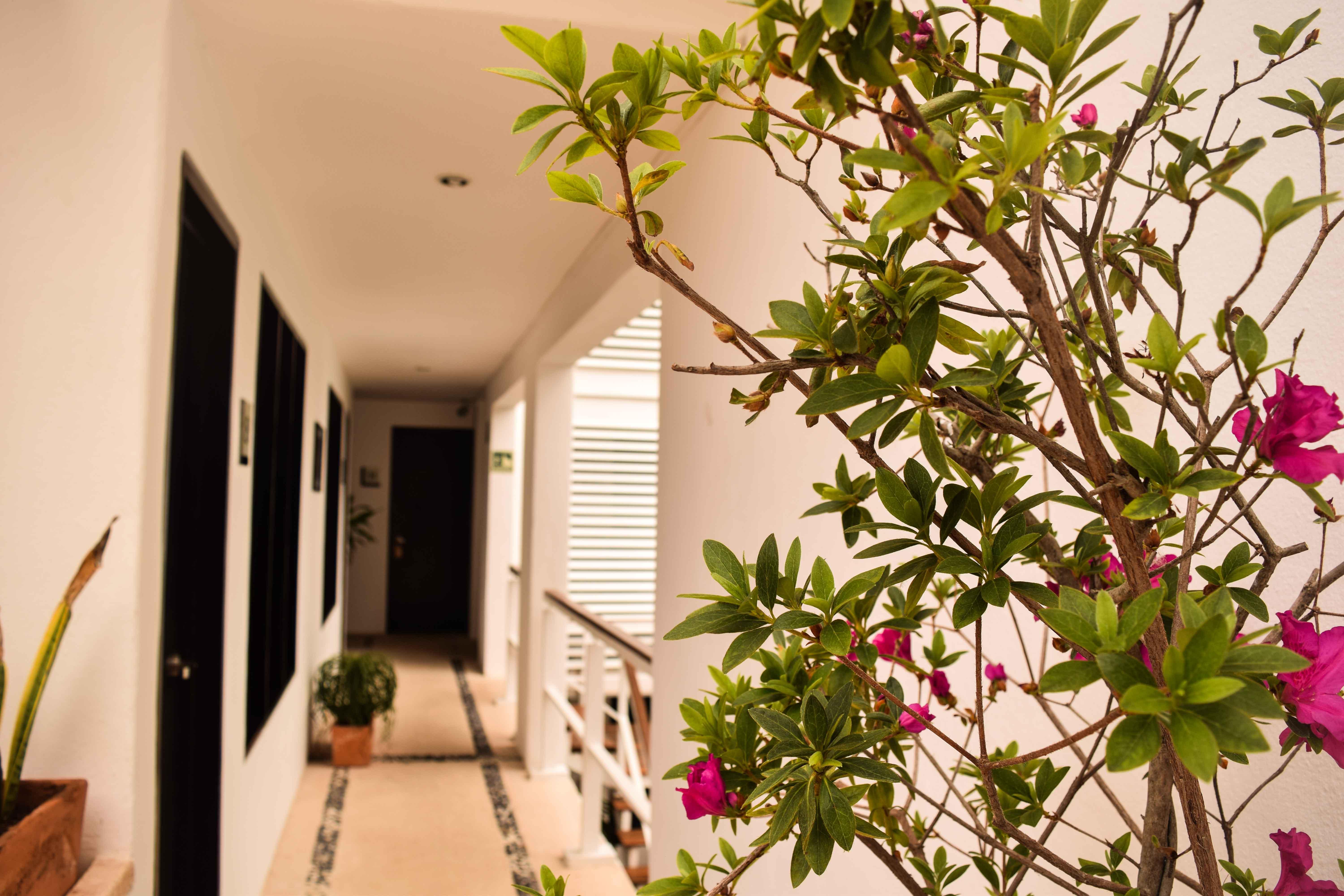 Casa Ticul Hotel Boutique - 5Th Ave (Adults Only) Плая дел Кармен Екстериор снимка